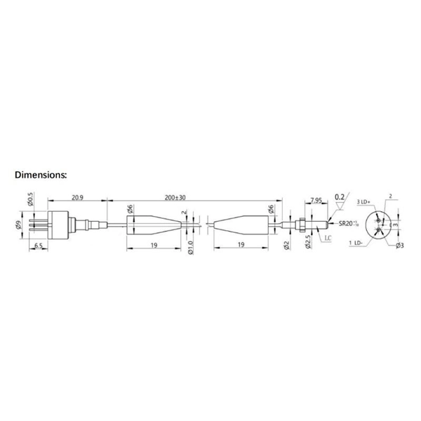 Secondary distribution box branch box