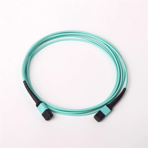 Virtual Access Switch
