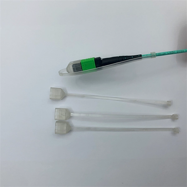 Certified Standalone Switch SFP