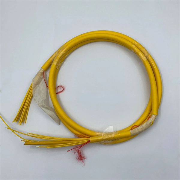 Brazilian Data Center Fiber Optic Cable Clamp Wall-Mounted