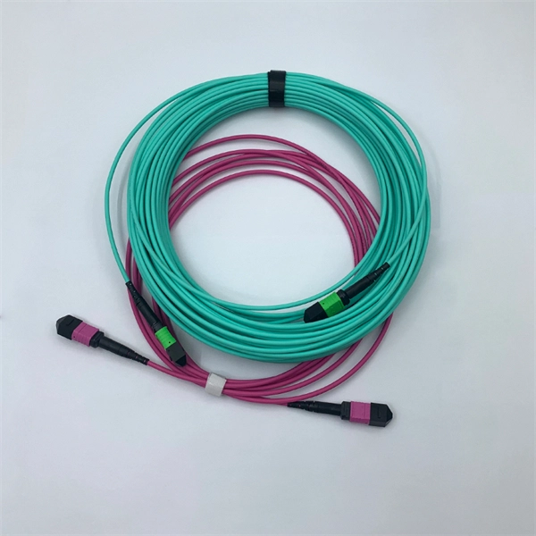 What are some core switches for home use