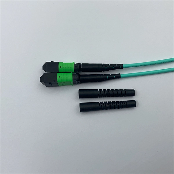 TP Router Fiber Optic Dynamic IP