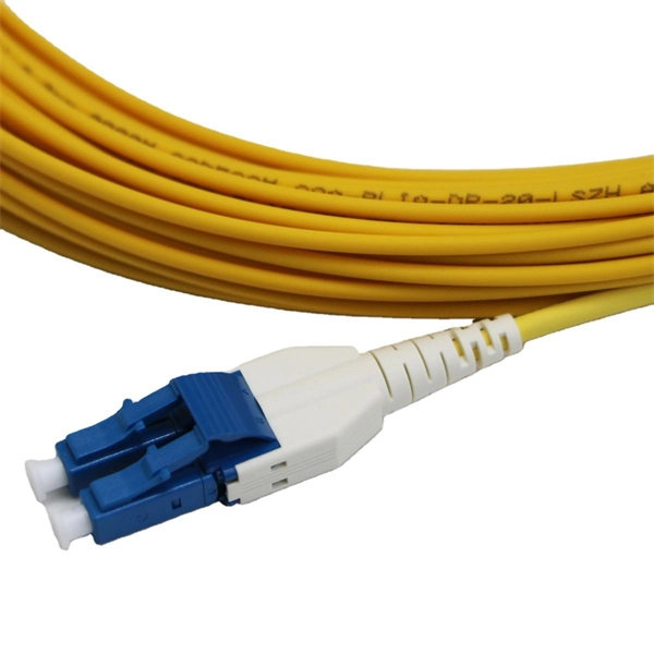 Core switch configured with 24 ports