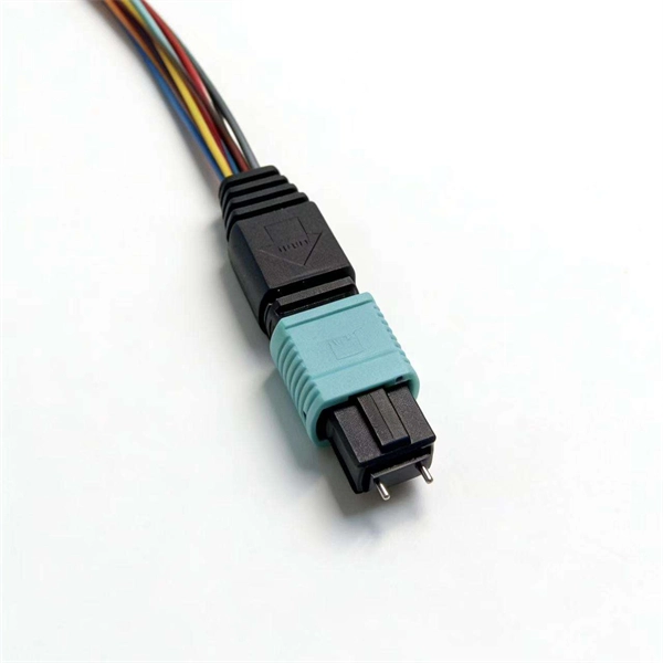 Vibration fiber optic cable around the main compound